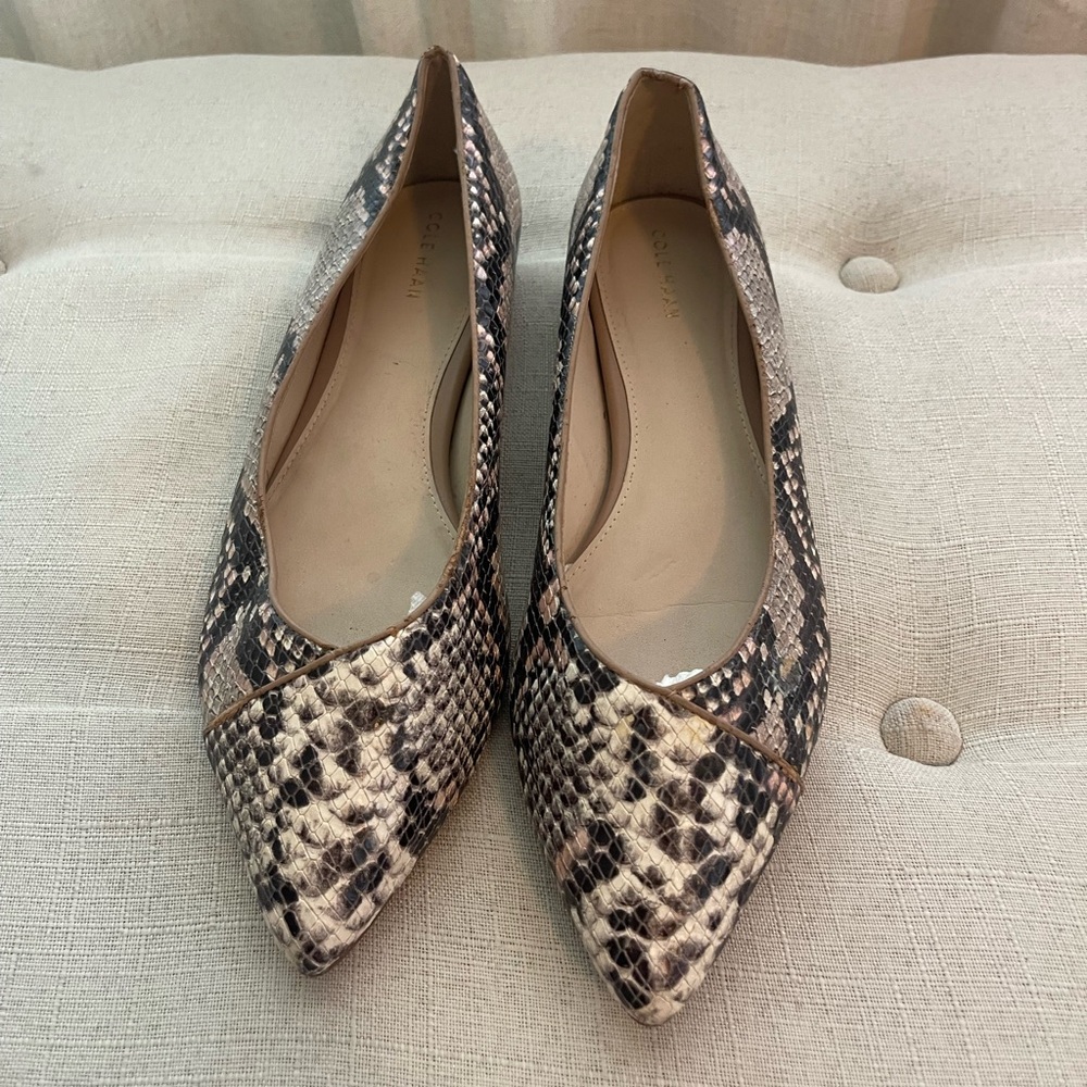 Cole Haan Snakeskin Patterned Flats